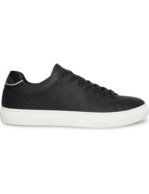 Steve Madden Flexed Low Top Sneaker